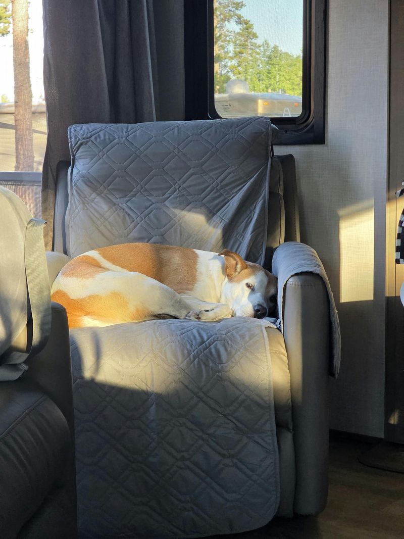Recliner Chair