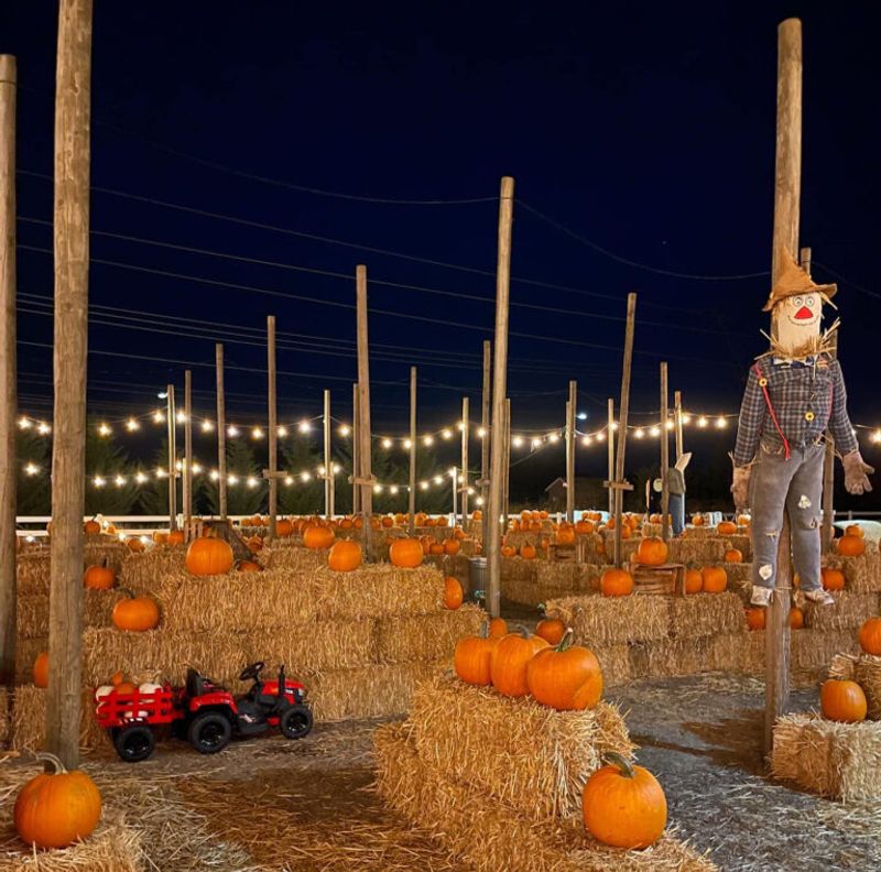 Pendleton Wheat Field Scarecrow Family