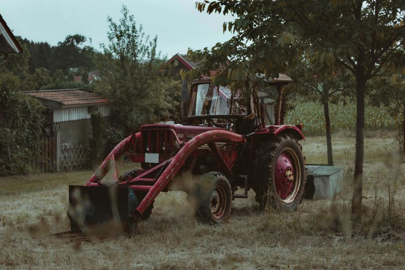 Seasonal Chores Demand Attention