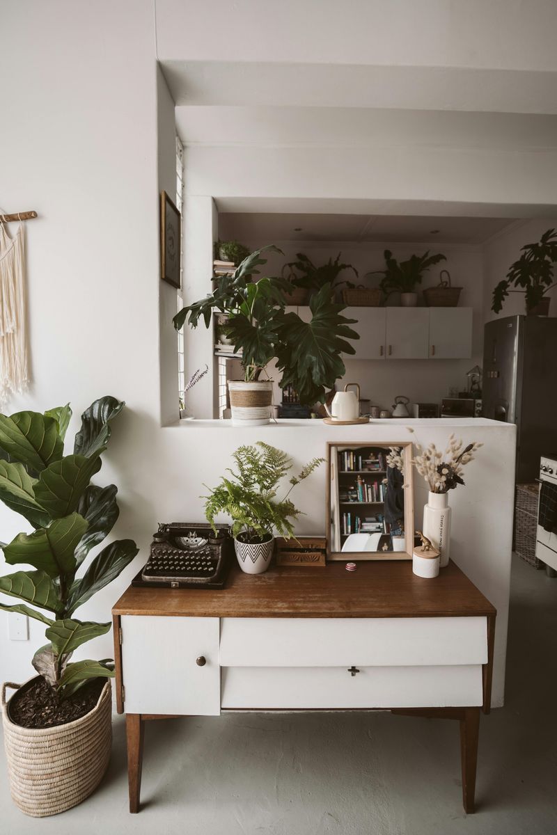 11 Things You Might Buy That Could Make Your Home Less Tidy - Decor Hint Too Many Vases or Planters