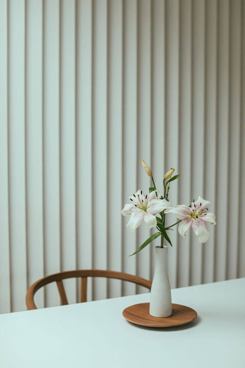 Vertical Blinds