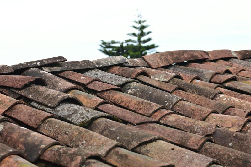 25 Home Features That Might Be Worth Updating For A Fresher Look - Decor Hint Roofing Materials