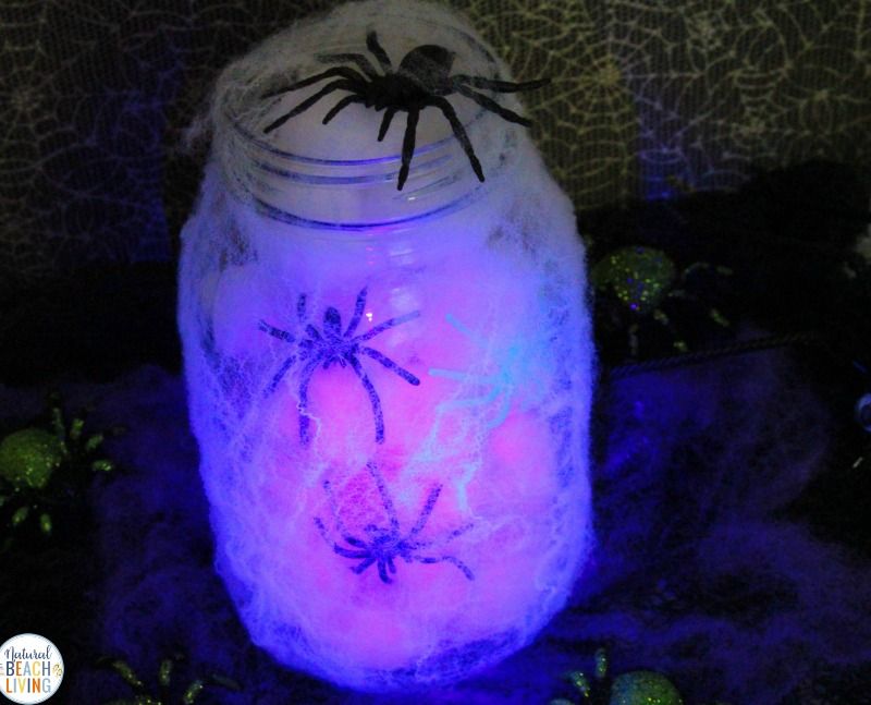 Mason Jar Spider Habitats