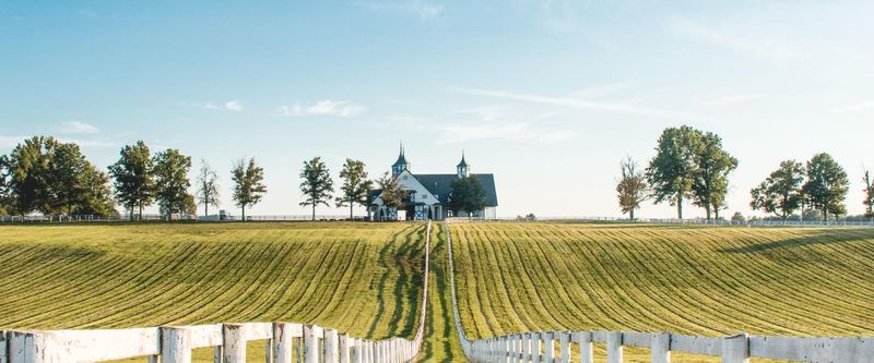 Horse Farm Elegance