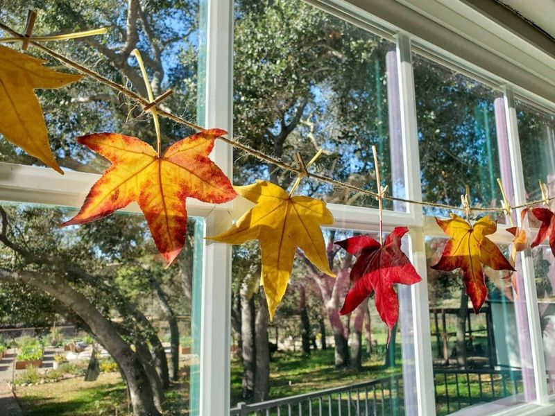 Maple Leaf Garlands With Potted Herbs
