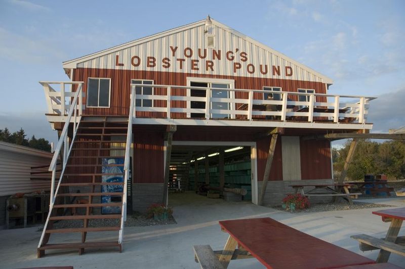 Young's Lobster Pound - Belfast