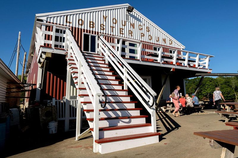 10 Maine Lobster Shacks That Never Disappoint - Decor Hint Young's Lobster Pound – Belfast's Working Waterfront Gem