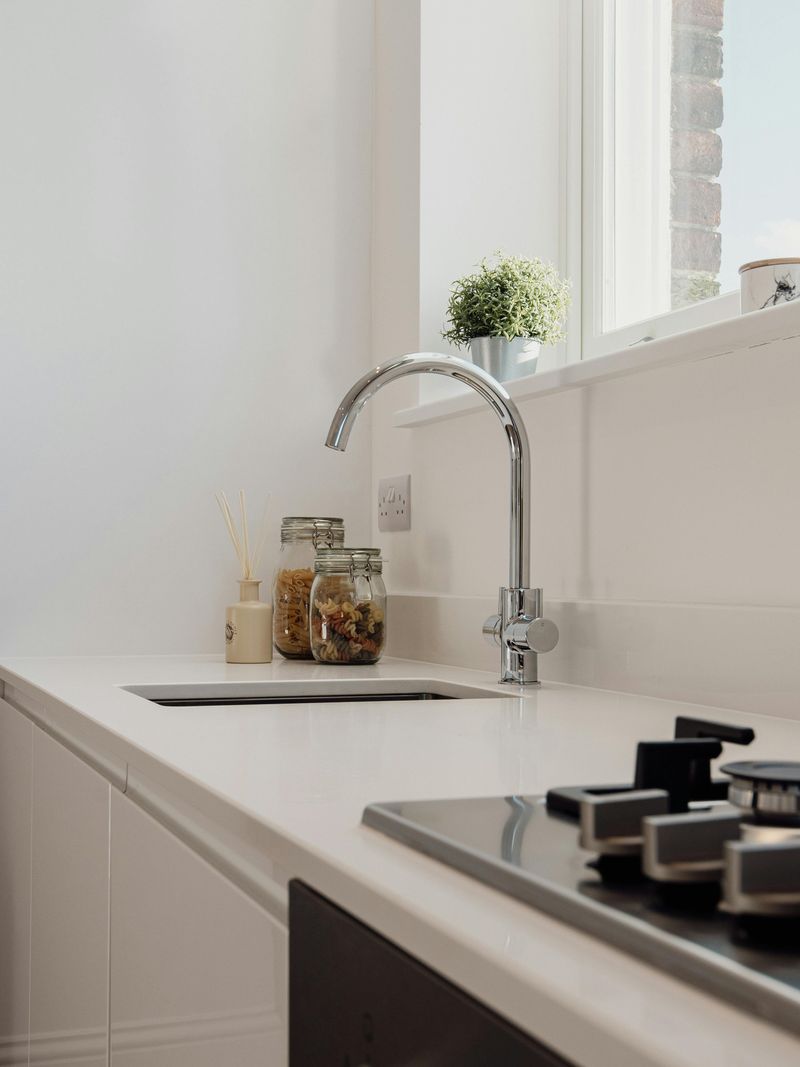 Prioritizing Style Over Sink Size