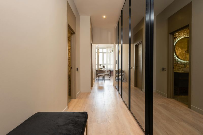 Mirror Doors