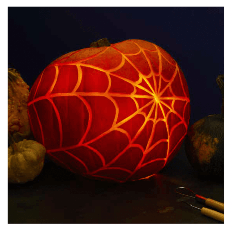 Spider And Web Pattern