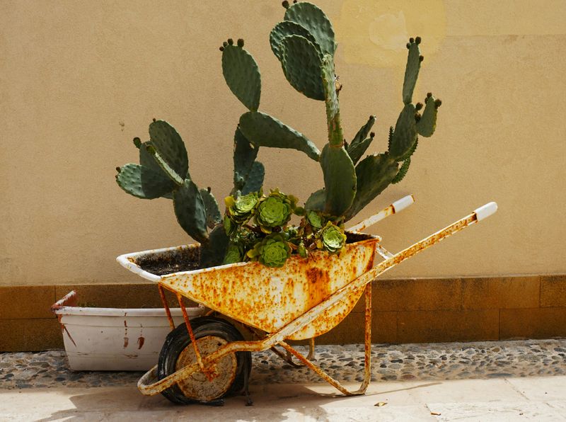 Vintage Wheelbarrows