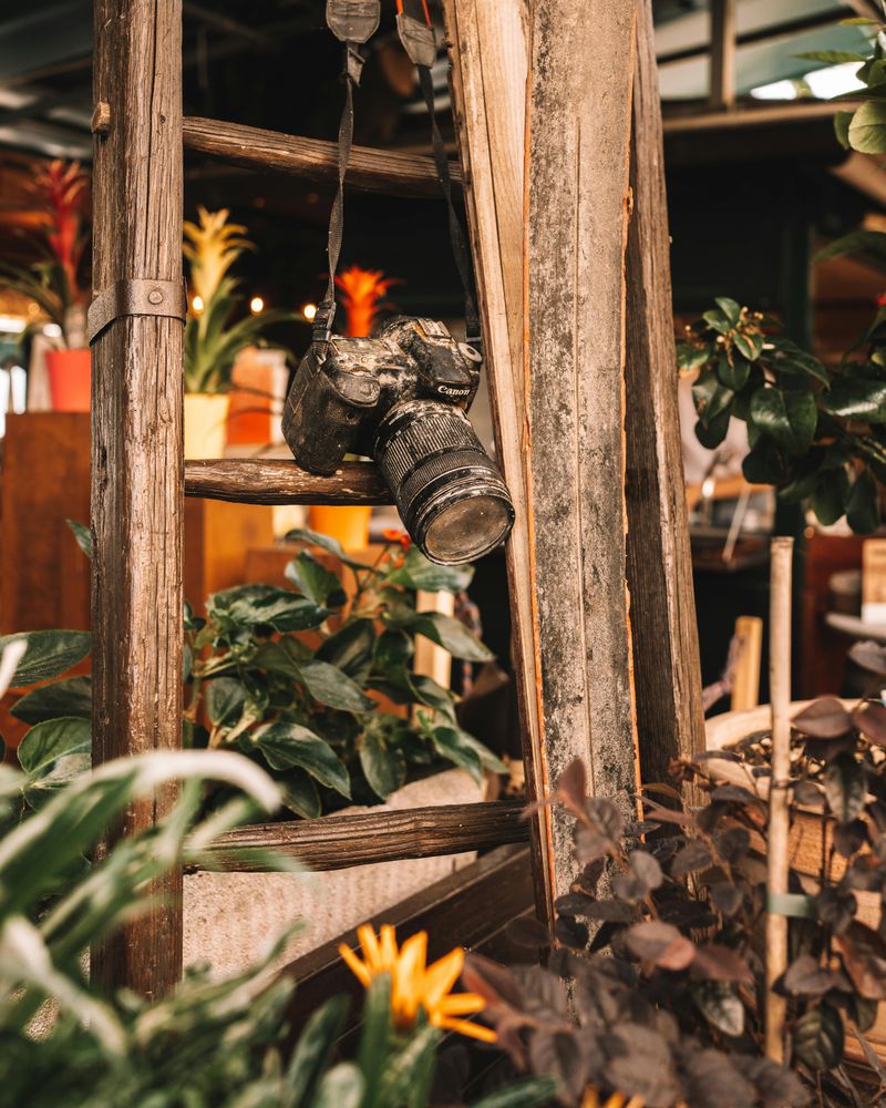 Wall Art Or Hanging Décor