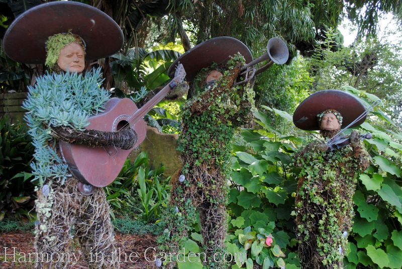 Spooky Succulents at San Diego Botanic Garden