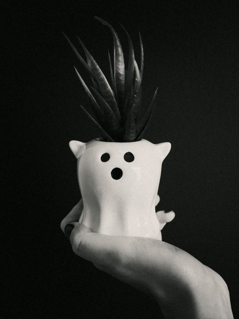 Botanical Skull Displays