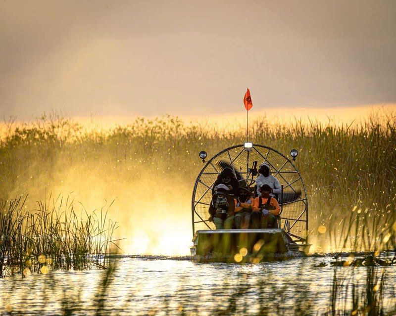 Airboat Adventures Night Tours