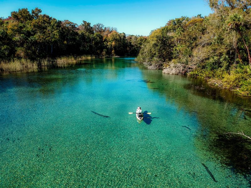Alexander Springs: Beginner-Friendly Basin