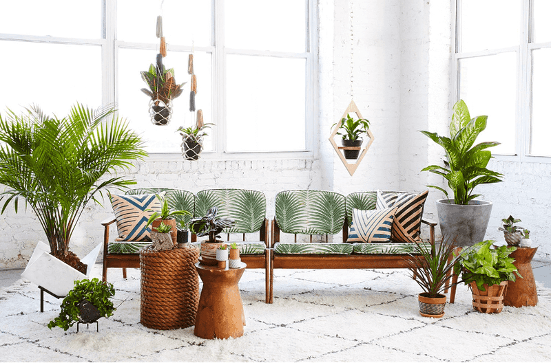 Tropical Print Slipcovers