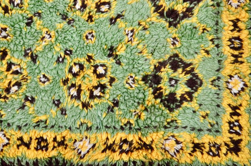 Shag Rugs In Bold Colors