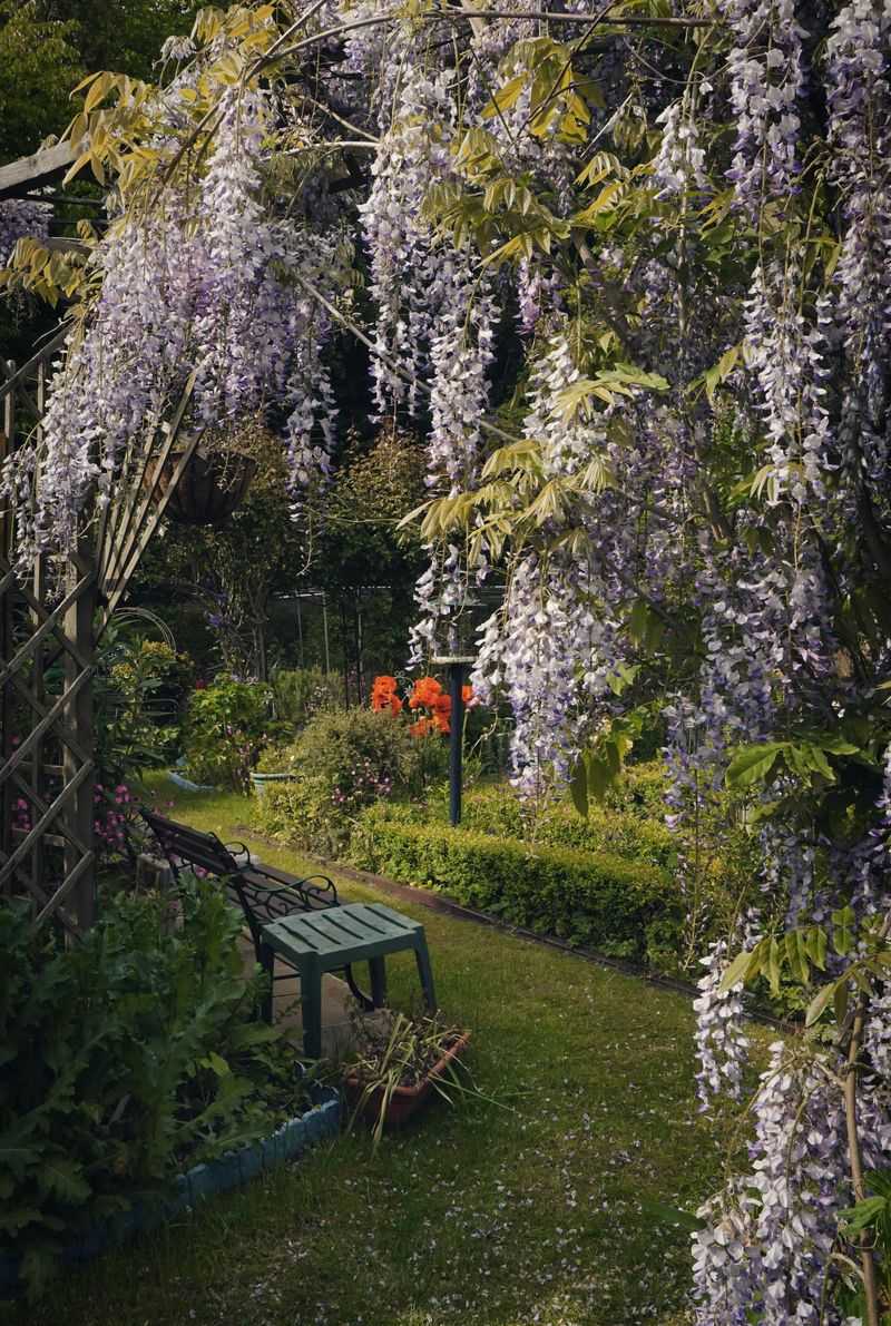 Home Design Ideas That May Draw Inspiration From Literature - Decor Hint Romantic Poetry Garden Space