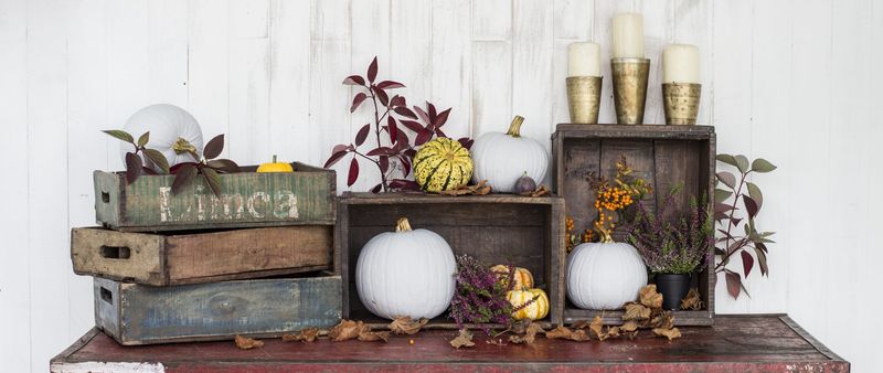 Wooden Apple Crates Storage