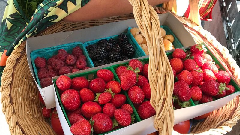5 Vibrant California Farmers Markets Perfect For Food Enthusiasts - Decor Hint Santa Monica Farmers Market – Santa Monica