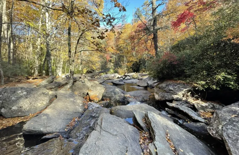 Boone Fork Trail
