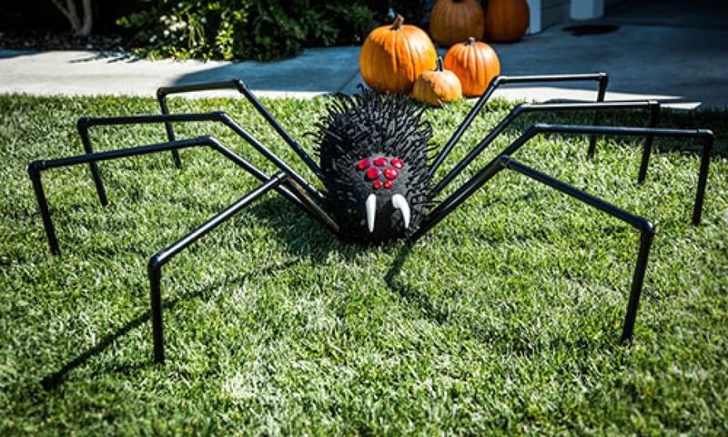 Spider Webs With Giant Spider