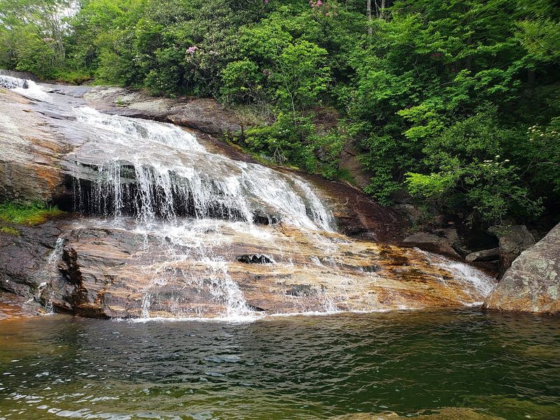 Graveyard Fields Trails
