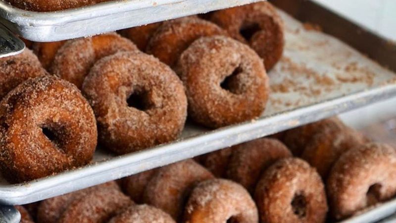 Barton Orchards – Poughquag, NY