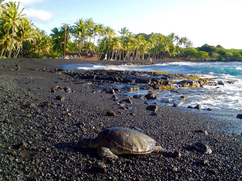 Punalu'u Black Sand Beach – Big Island, Hawaii