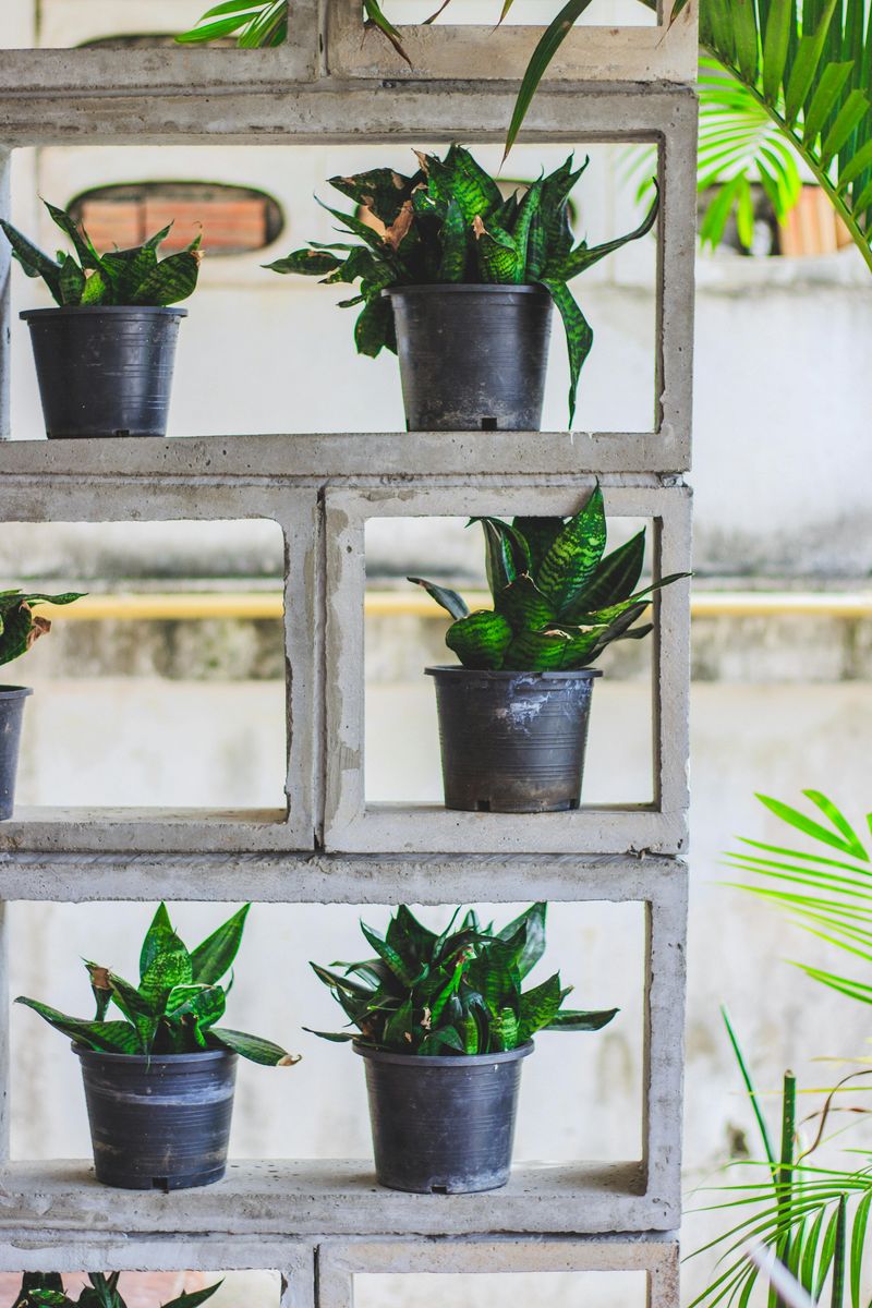 Use Vertical Shelving for Pots and Planters