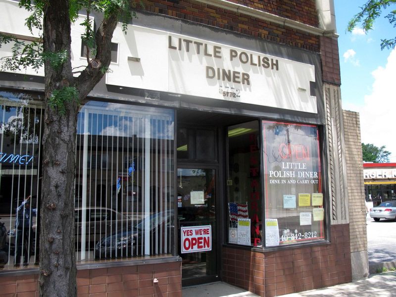Little Polish Diner