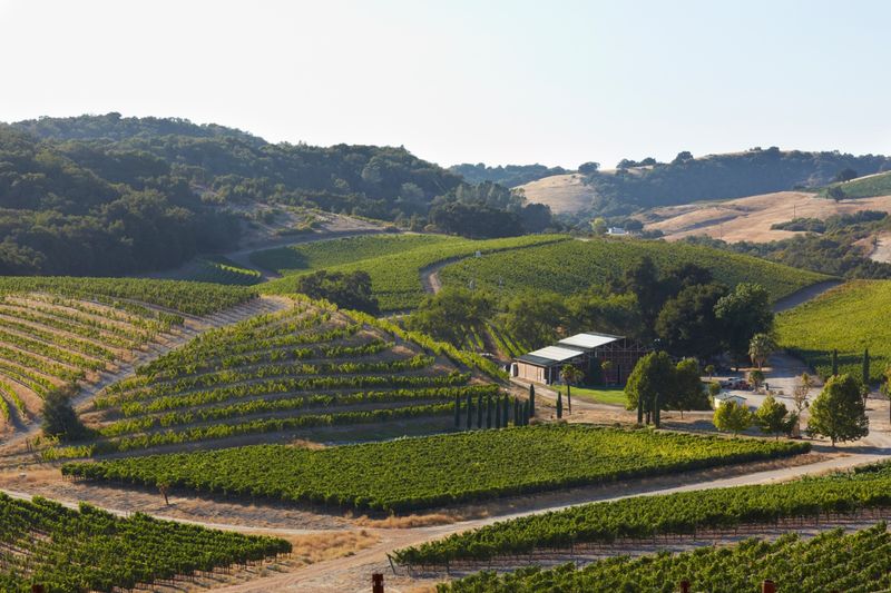 Paso Robles Tasting Festival Highlights
