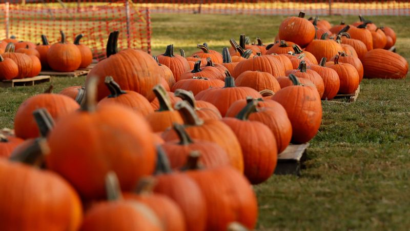 Chattahoochee River Pumpkin Trail