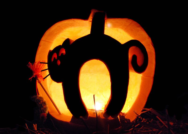 Witch And Cat Scene