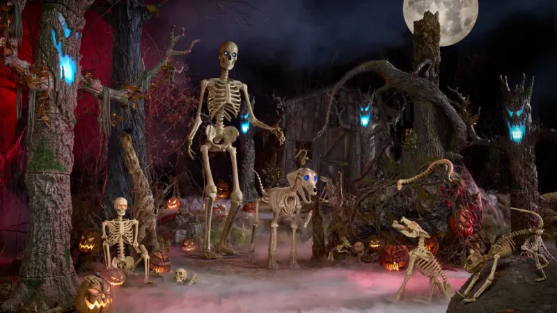Skelly's Cat Decoration