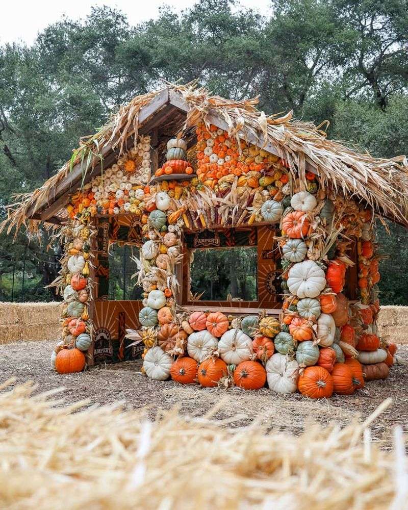 Pumpkin Village at Descanso Gardens
