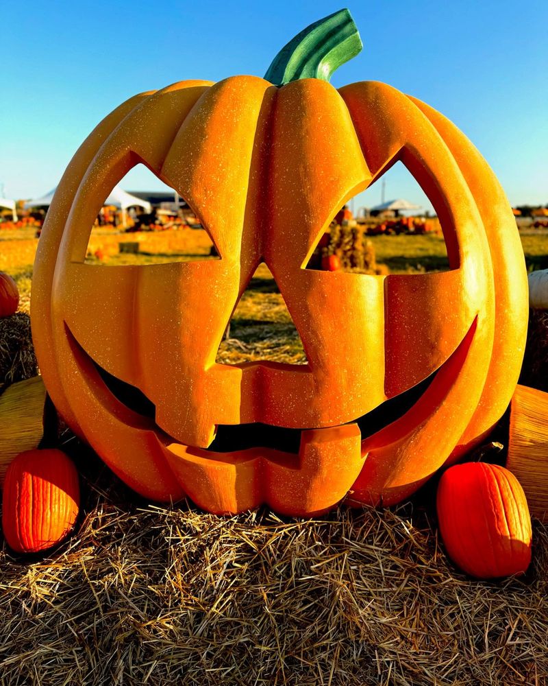Texas Pumpkin Fest, Leander