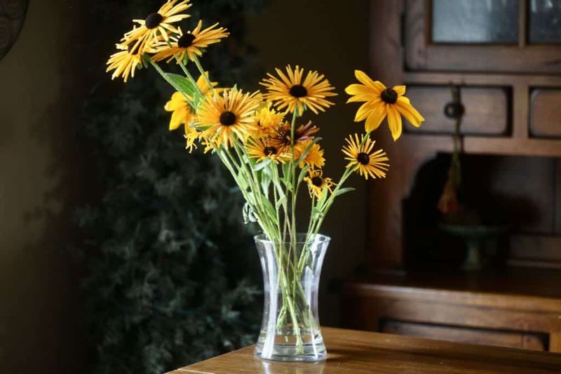 Black-Eyed Susans In Mini Bouquets