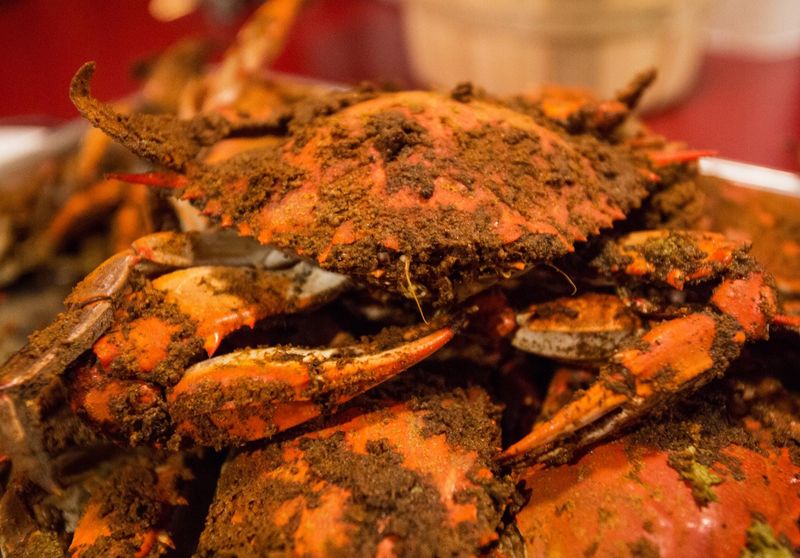 Fins Fish House & Raw Bar – Where Fresh Catches Shine