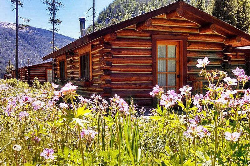 10 Kentucky Log Cabins Finished In Warm Honey Oak - Decor Hint Wildflower Meadow Cottage