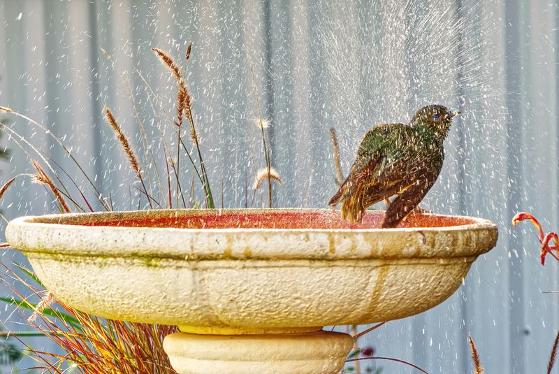13 Hiding Spot Ideas That Could Help Keep Valuables Secure - Decor Hint Camouflaged Outdoor Storage Areas