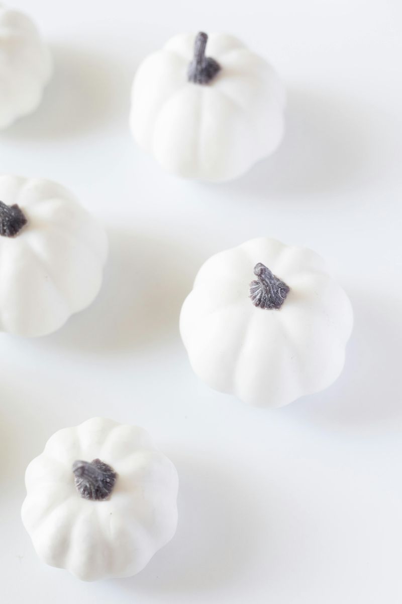 Monochromatic White Pumpkin Displays