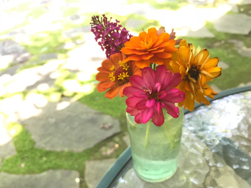 Zinnias In Earth-Toned Jars
