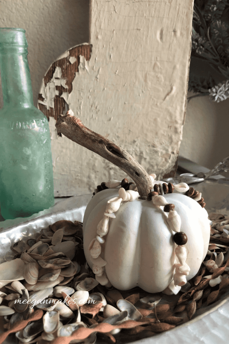 Coastal Cottage Fog and Driftwood Displays