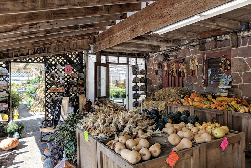 10 Pennsylvania Farmers Markets Serving Up Traditional Dutch Country Fare - Decor Hint The Village Farm Market – Ephrata's Seasonal Showcase