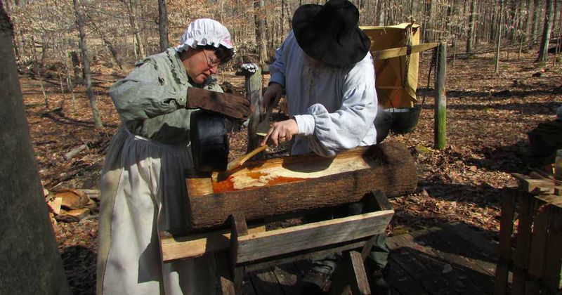 10 Ohio Maple Festivals Serving Pancakes With Syrup - Decor Hint Summit Metro Parks Maple Mania at Liberty Park (Twinsburg)
