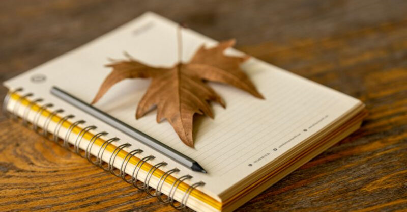 How You Can Organize Your Home In September To Prepare For Fall Hosting