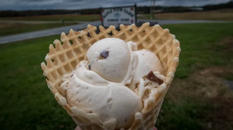 Maple View Farm Ice Cream - Hillsborough