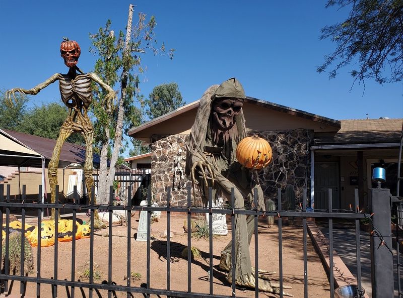 Cactus Climbing Skeletons